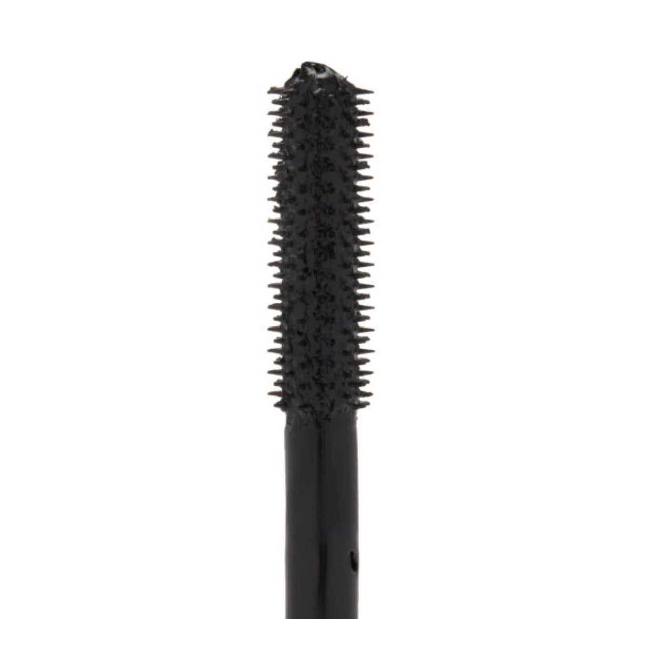 WAYNE GOSS The Waterproof Mascara