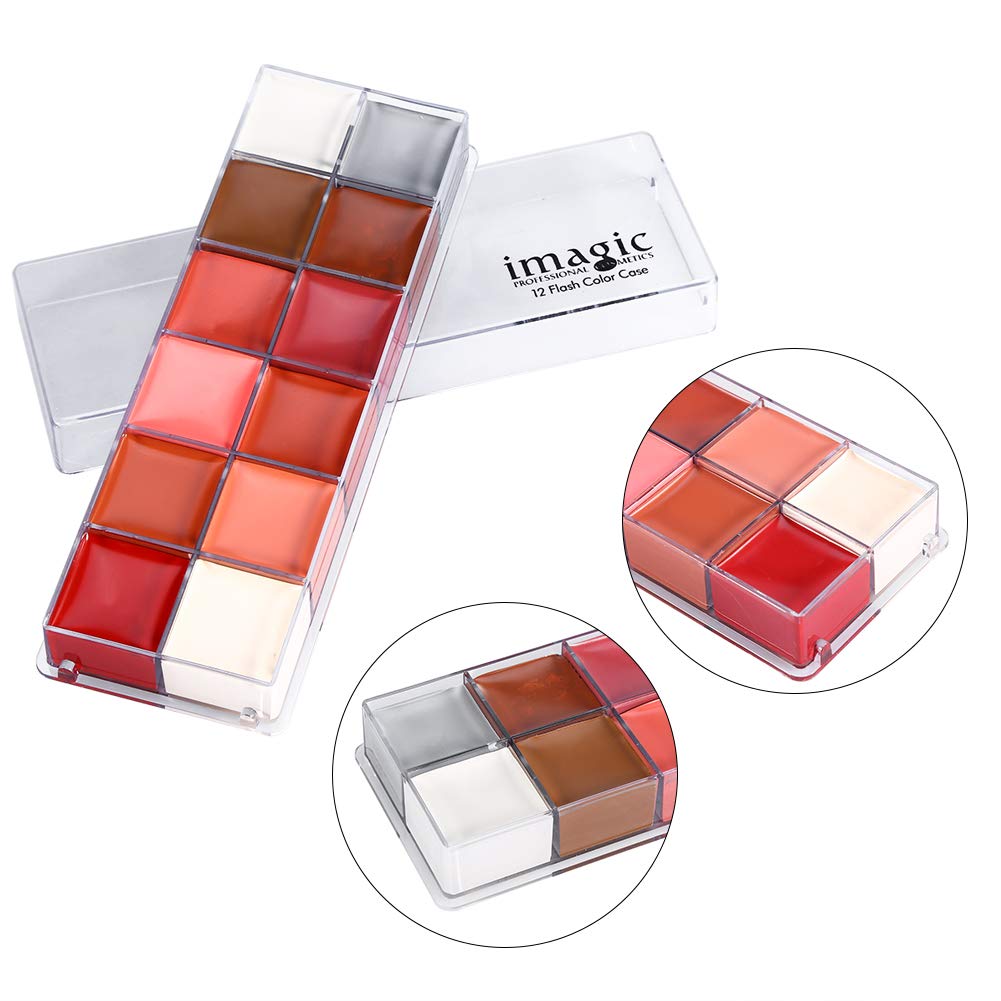 MAGIC 12 Colors Body Flash Tattoo Oil Painting Pigment Makeup Tool Fancy Dress Artist Palette for Halloween