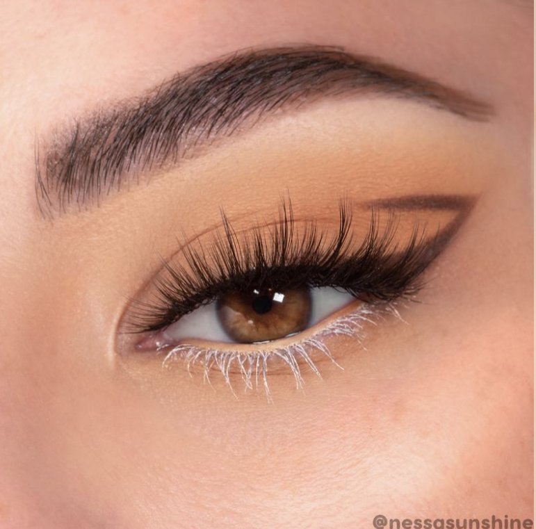 oh deer falsies faux lashes COLOUPOP