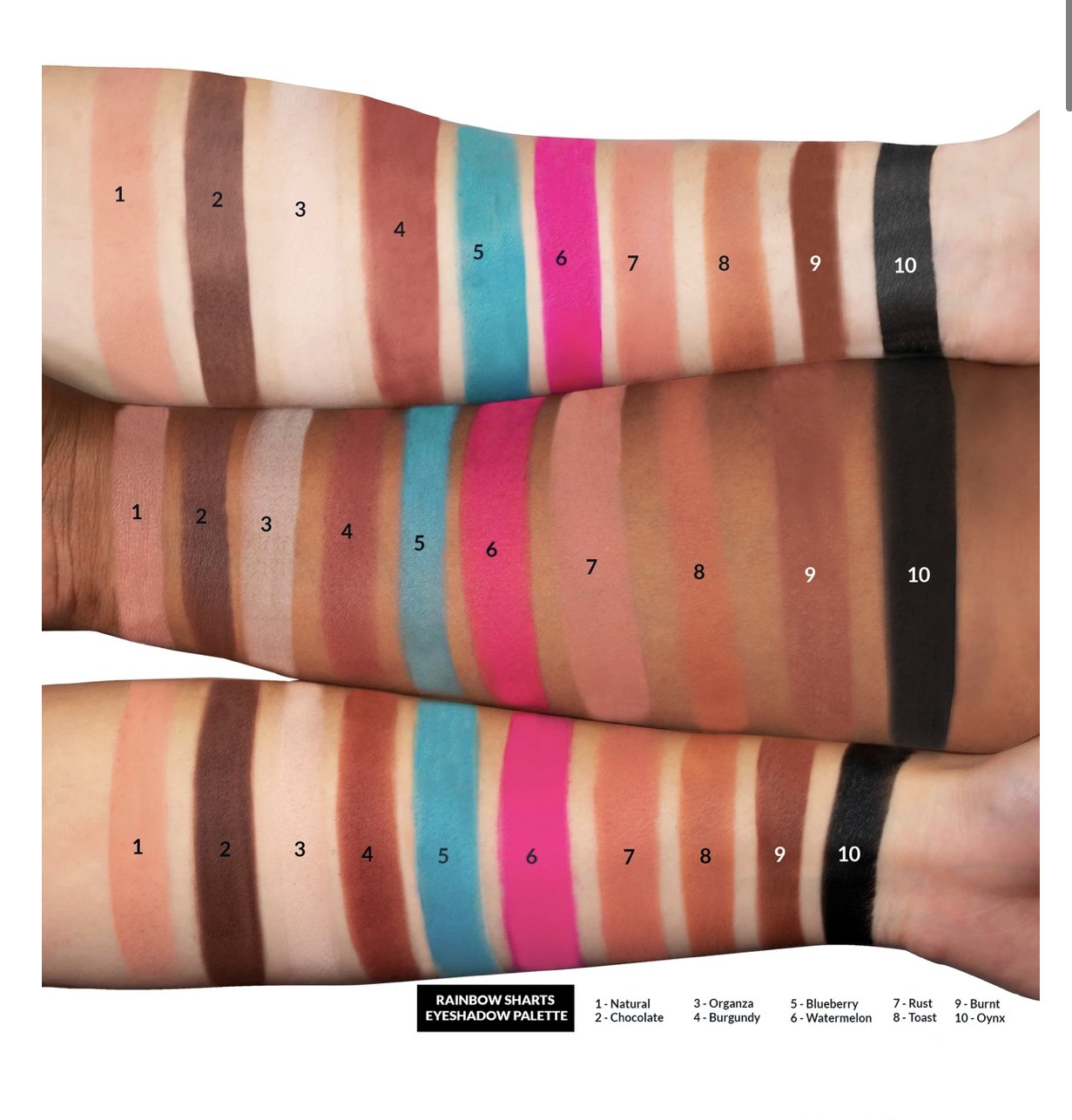 RAINBOW SHARTS PALETTE KETNIPZ X KIMCHI CHIC BEAUTY COLLECTOR'S