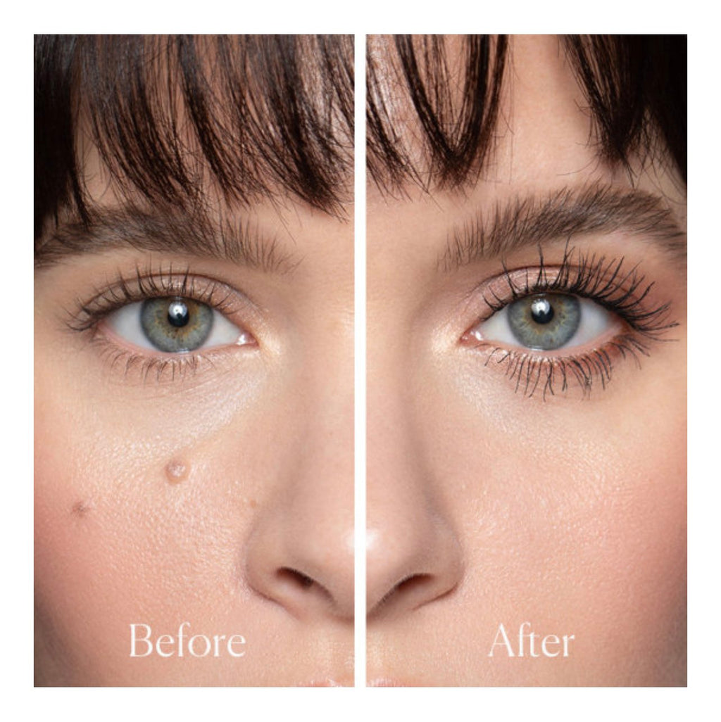 WAYNE GOSS The Waterproof Mascara