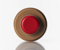 RHODE pocket blush The natural flush NEW