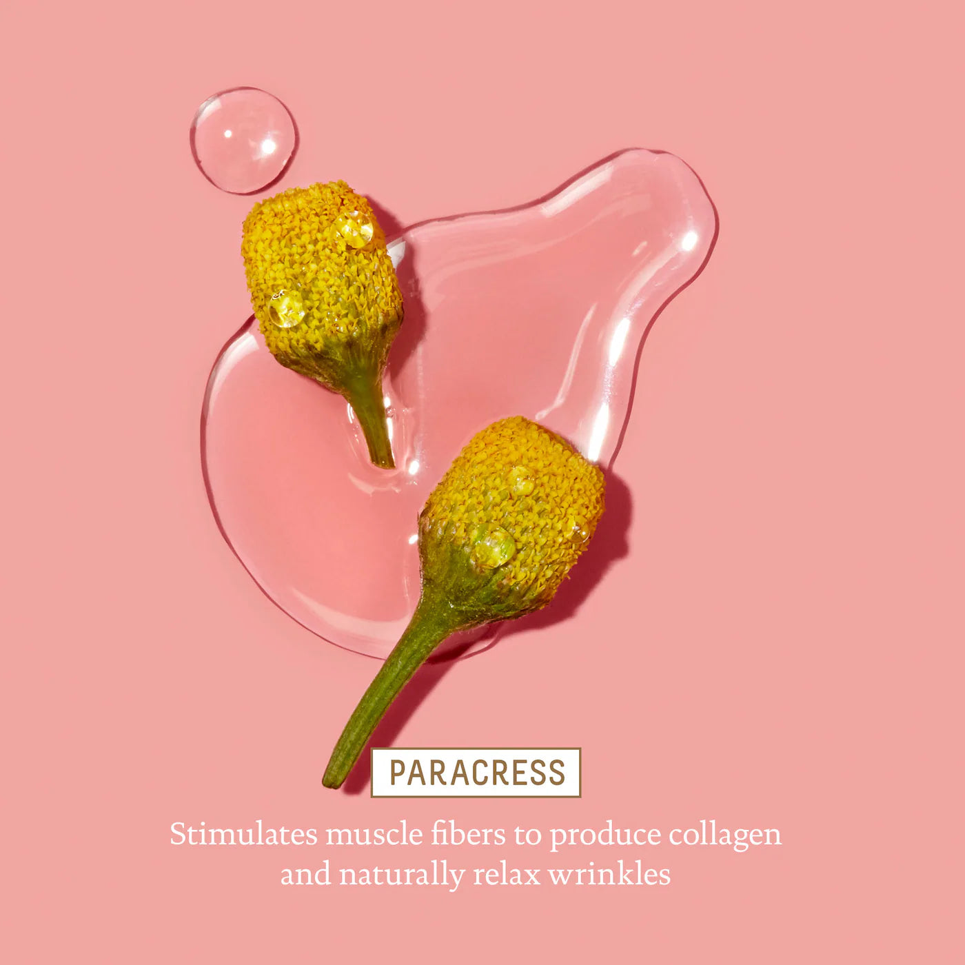 Biossance Squalane + Marine Algae Eye Cream - 15ml