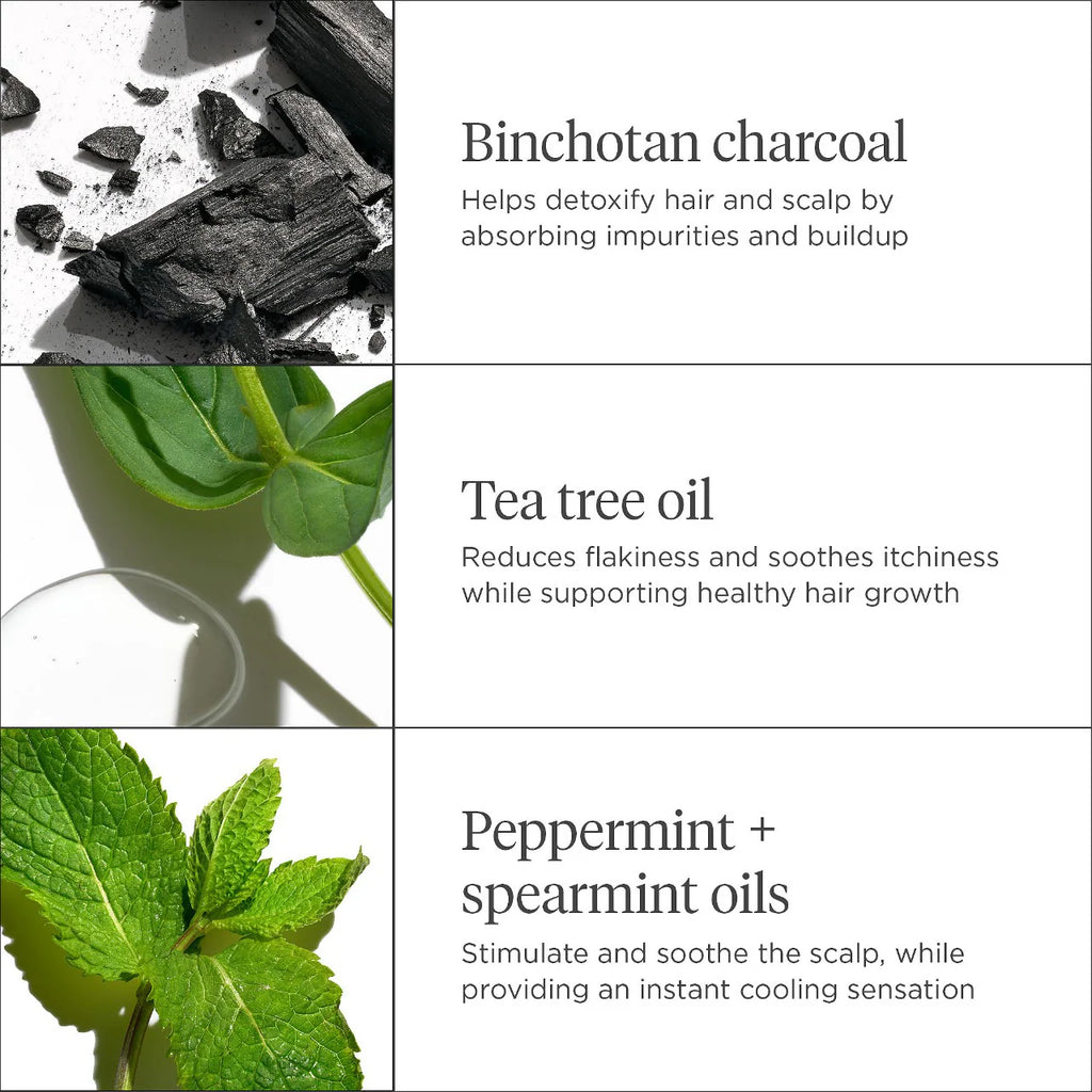 Briogeo  Scalp Revival™ Charcoal + Tea Tree Cooling Hydration Mask for Dry, Itchy Scalp 59ml