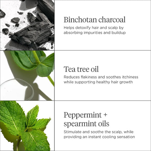 Briogeo  Scalp Revival™ Charcoal + Tea Tree Cooling Hydration Mask for Dry, Itchy Scalp 59ml
