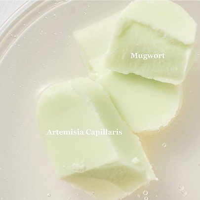 BEAUTY OF JOSEON  Matte Sun Stick : Mugwort + Camelia