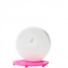 BLENDERCLEANSER® SOLID® - Imagen 2