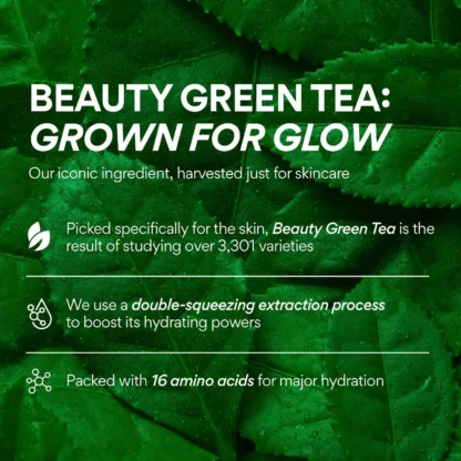 innisfree  Green Tea Hyaluronic Acid Refillable Serum 10ML - Imagen 2