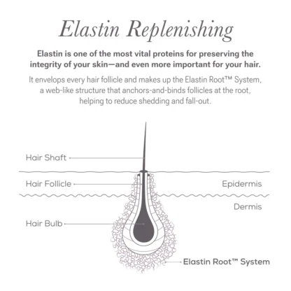 Nulastin Lash Follicle Fortifying Serum, 0.1 oz (full-size) - Imagen 3