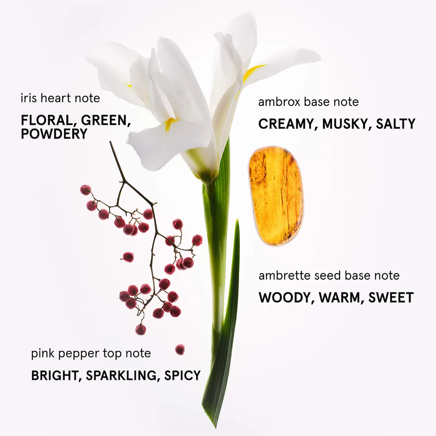 Glossier Glossier You Duo Perfume Gift Set - Imagen 4