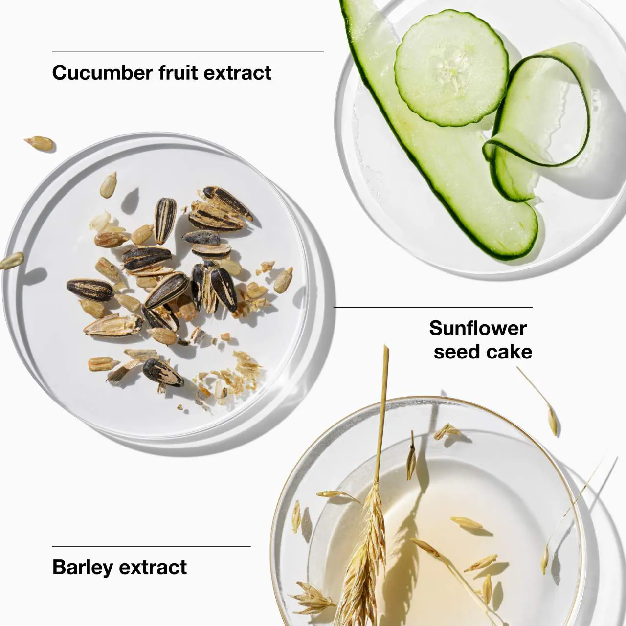 CLINIQUE Dramatically Different™ Moisturizing Gel for Skin Barrier Repair - Imagen 4